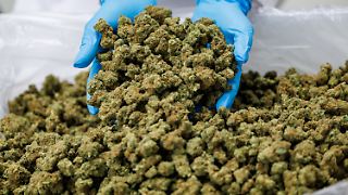 Cannabis-Importe gehen 2024 durch die Decke