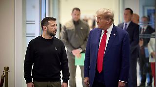 "Ich frage mich, warum Trump verrückt nach seltenen Erden ist"