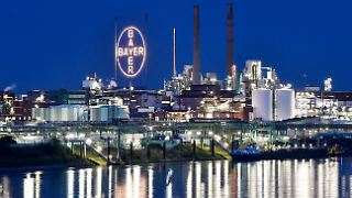 Bayer im Glyphosat-Streit zu Milliardenzahlung verurteilt