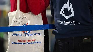 Junge Alternative hat sich aufgelöst
