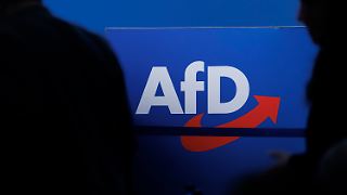 Verfassungsschutz stuft AfD als gesichert rechtsextremistisch ein
