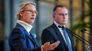 AfD will sich gegen Einstufung "juristisch zur Wehr setzen"