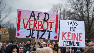 Fast die Hälfte der Deutschen ist für AfD-Verbot