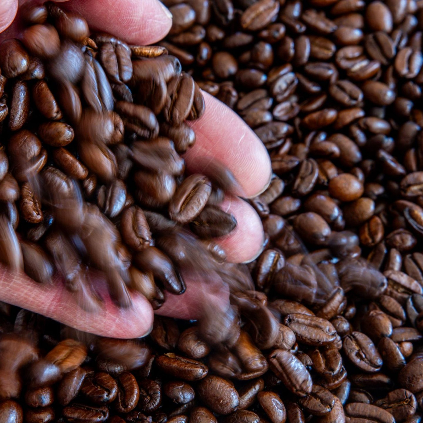 Marktforscher: Kaffee verliert junge Käufer