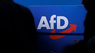 AfD klagt gegen Einstufung durch Verfassungsschutz