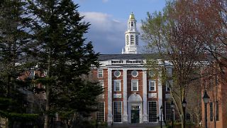 Trump-Regierung lässt Streit mit Harvard eskalieren