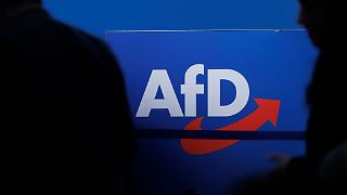 AfD Brandenburg als gesichert rechtsextrem eingestuft