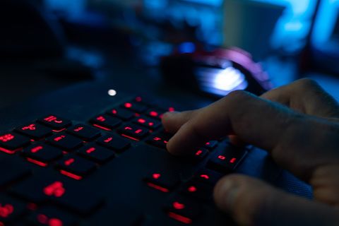 Viele Verbraucher fallen auf Fake-Shops im Internet herein