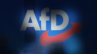 Warum ein Verbot der AfD schwierig, fast unmöglich wäre
