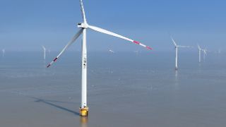 Regierung prüft Bauverbot für Waterkant-Windpark bei Borkum