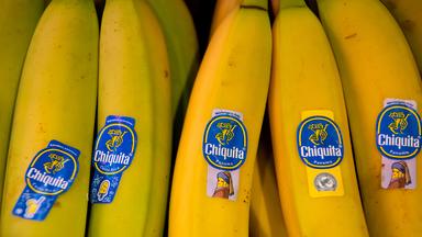 Chiquita will Tausende Arbeiter in Panama entlassen