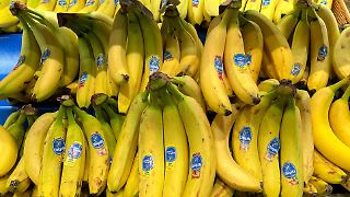 Chiquita feuert Tausende streikende Mitarbeiter