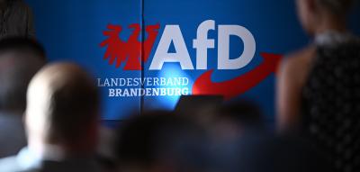 AfD kündigt Verfassungsklage gegen Brandenburger Landesregierung an