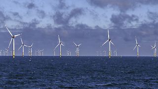 Dieser Offshore-Zoff gefährdet Ausbauziele und niedrige Strompreise
