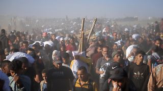 Grünen-Chefin Brantner fordert Teil-Waffenembargo gegen Israel