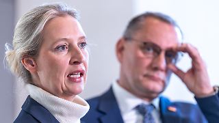Auch Weidel stellt Strafanträge wegen Beleidigung