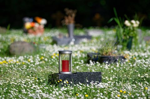Was kostet der Tod?