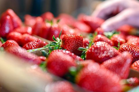Erdbeeren zu Saison-Tiefpreisen - so viel kostet die Schale