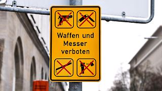 Verfassungsgericht: Über AfD-Anfrage muss neu entschieden werden