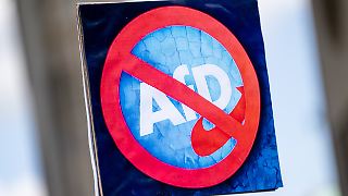 Koalition streitet über AfD-Verbotsverfahren