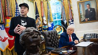 Studie gibt Musk im Streit um Steuerpaket mit Trump recht