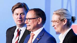 Die fünf Triggerpunkte im Strategiestreit der AfD