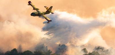 Waldbrand an Kroatiens Adria – Touristen fliehen