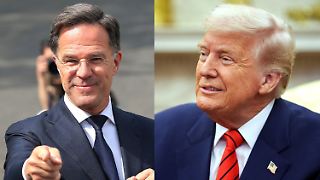 Nato-Chef Rutte umgarnt "lieben Donald" in privater Nachricht