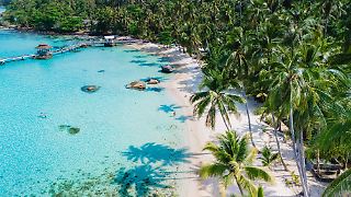 "Temptation Island" mit Merz' Rasselbande: Knietief im Milliardenloch