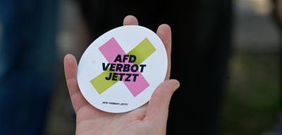 Nach SPD-Vorstoß – Klöckner warnt vor voreiligem AfD-Parteiverbot
