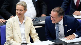 AfD-Fraktion stockt Gehälter ihrer Chefs kräftig auf