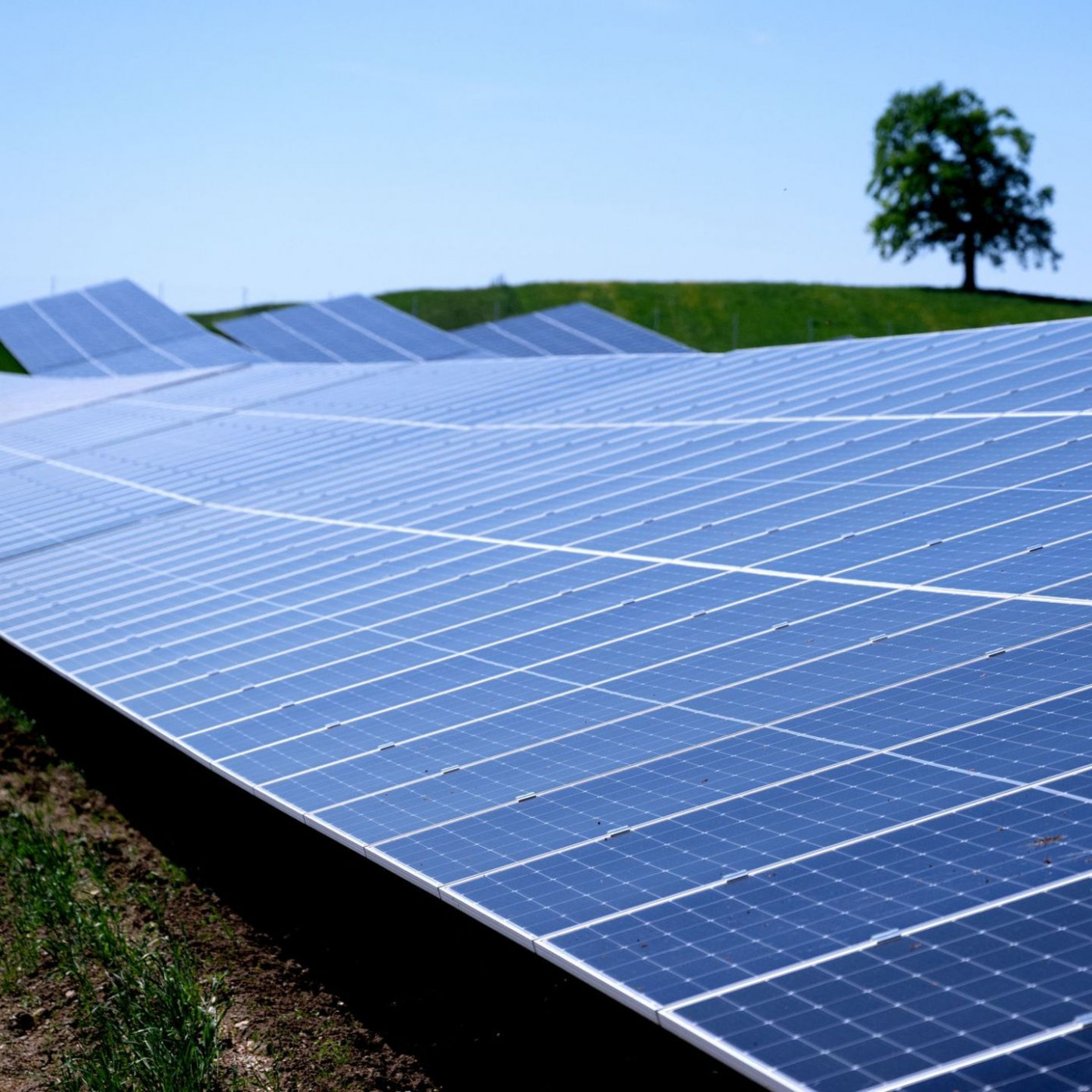 Solar-Ausbau bis 2030: Die Hälfte ist geschafft