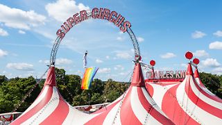 Zirkus kritisiert Merz und hisst Regenbogenfahne