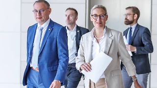 AfD verordnet sich selbst Benimmregeln