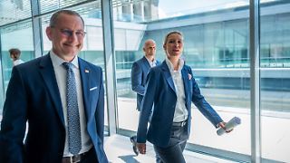AfD streicht "Leitkultur" und "Remigration" aus Grundsatzpapier