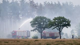 Einsatzkräfte kriegen Waldbände schwer in den Griff