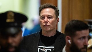 Daran könnte Elon Musks "America Party" scheitern
