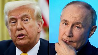 Trump: "Bekommen von Putin eine Menge Blödsinn aufgetischt"