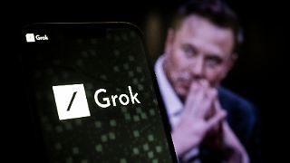 Musk-Unternehmen entschuldigt sich für Hitler-Verherrlichung