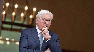 Steinmeier: Neue Koalition hat sich "selbst beschädigt"