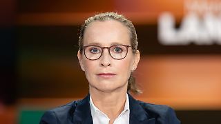 Die verlorene Ehre der Frauke Brosius-Gersdorf