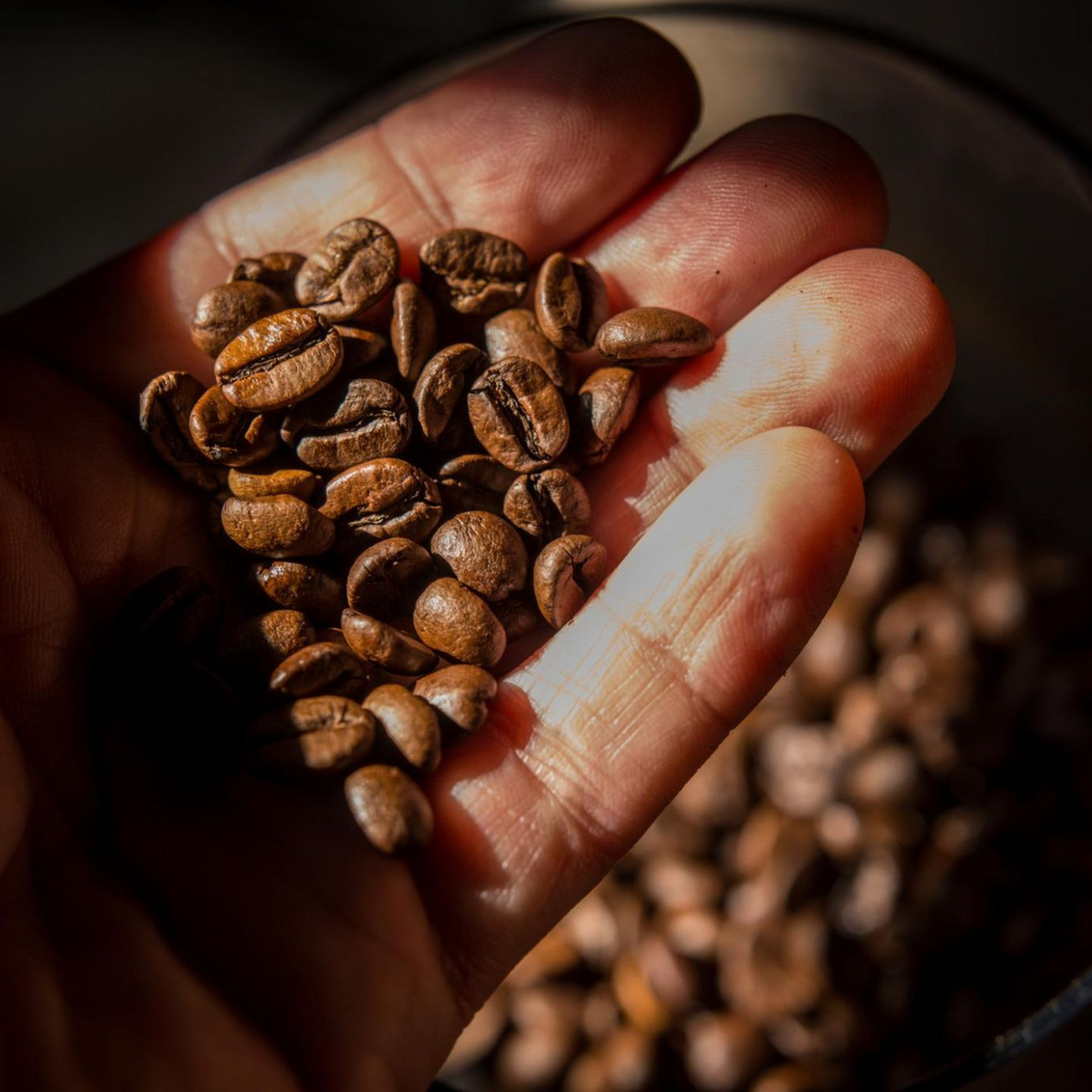 Macht Trump den Kaffee teurer?