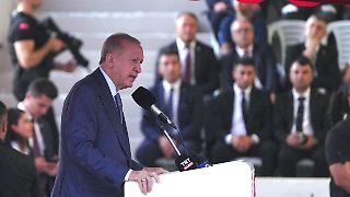 Erdogan: Welt soll Teilung Zyperns als "Realität" akzeptieren