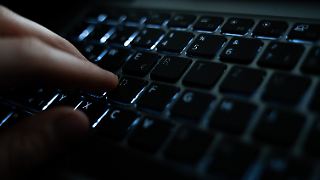 Österreichischer Botschafter wegen Sex-Blogs gefeuert