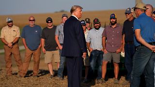 Trump: Migranten "von Natur aus" für Farmarbeit geeignet