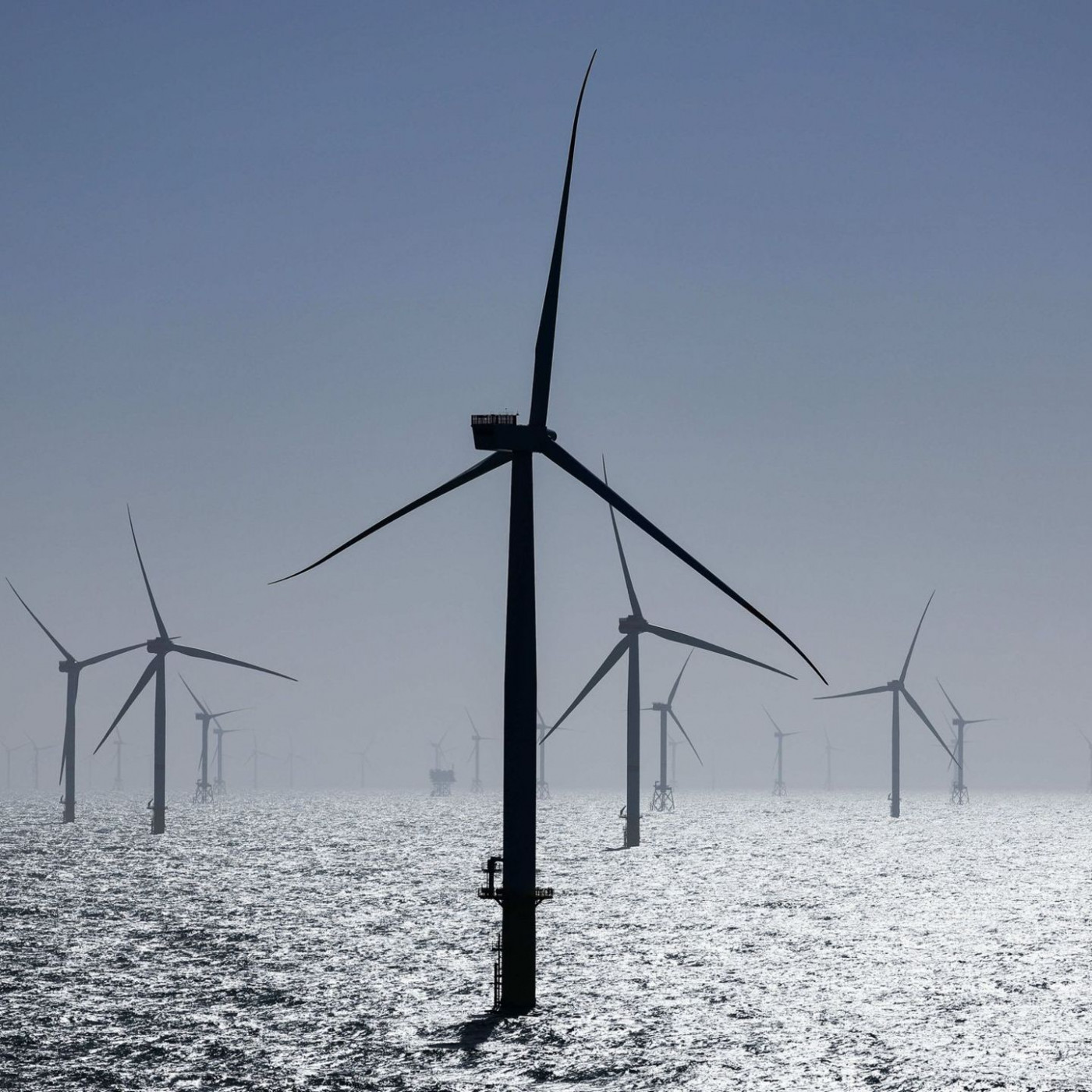 Nordsee-Windkraftflächen finden keinen Käufer