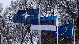 "Auf russische Truppen würde jeder Baum schießen, mit oder ohne Nato"