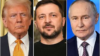 Trump: Putin und Selenskyj planen gemeinsames Treffen