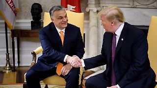 Trump rief auch Orban für Ukraine-Gespräch an