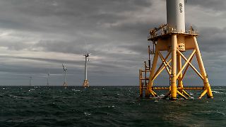 Trump-Regierung stoppt Bau von Offshore-Windpark